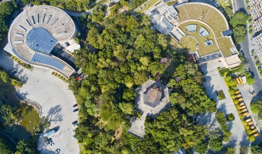 穿越到亿万年前的恐龙时代，入口在河源这里→