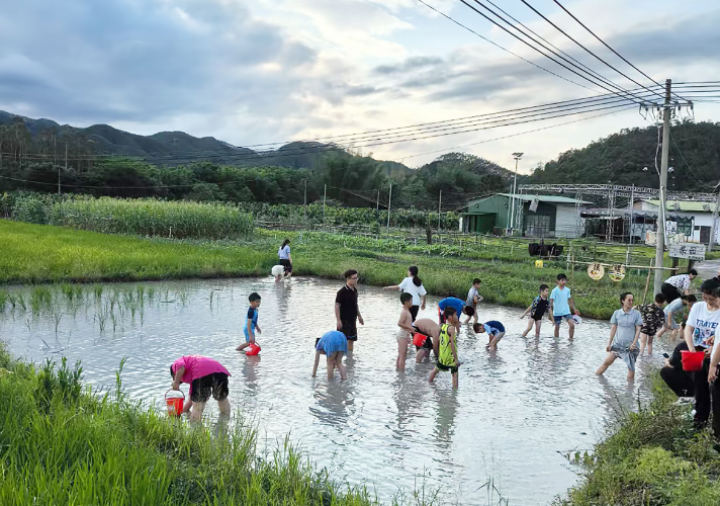 游客在东源县康禾镇仙坑的天田坝民宿体验农耕生活 肖斌 摄