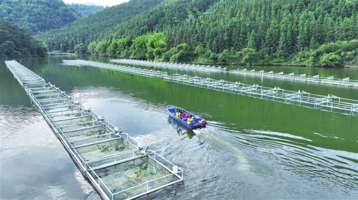 智能渔方（网箱）养殖项目利用水库进行网箱养殖，配备摄像头、黑光灯、太阳能光伏等设备实现高效养殖。