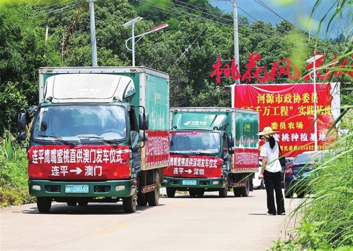 满载鹰嘴蜜桃的邮政快递车辆从上坪镇出发 欧阳柳 摄