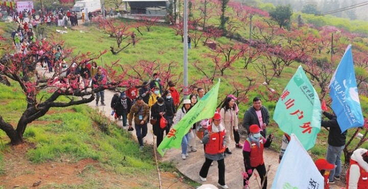 去年3月，连平县上坪镇桃花节徒步活动，徒步爱好者共赏桃园风光。