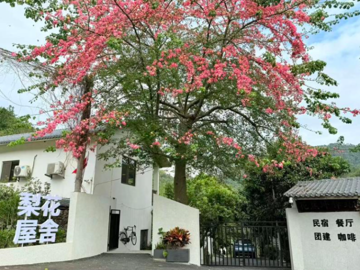 东源县梨花屋舍获评广东省金宿级乡村民宿